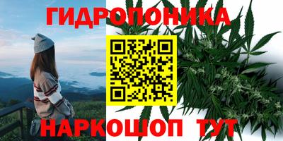 тгк Балахна