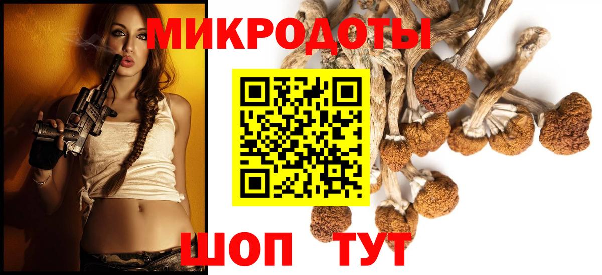 Борисоглебск  где продают наркотики  Вход с VPN  Галлюциногенные грибы Psilocybe 